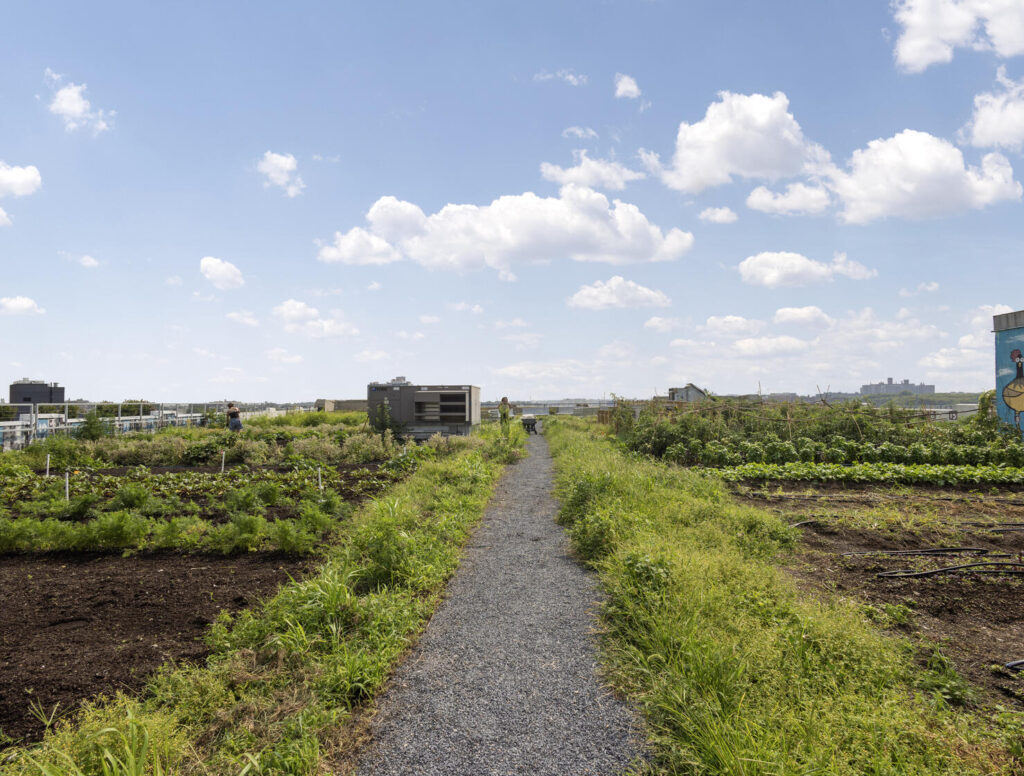 One-Acre Organic Farm on Rooftop